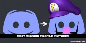 Best Discord Profile Pictures